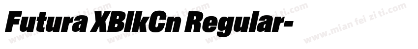 Futura XBlkCn Regular字体转换
